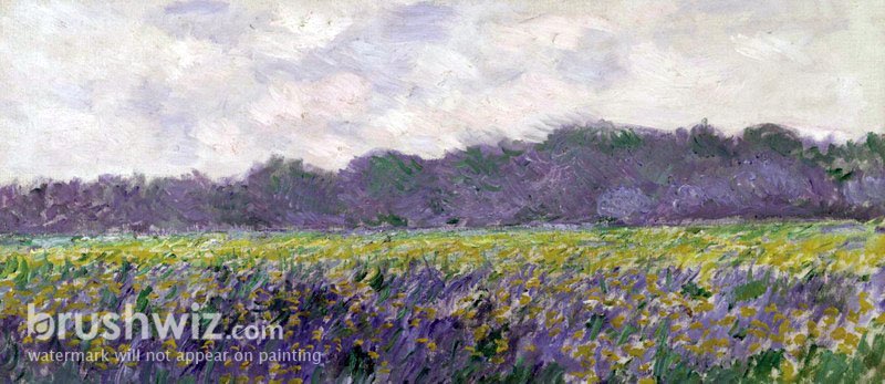 claude monet lavender fields