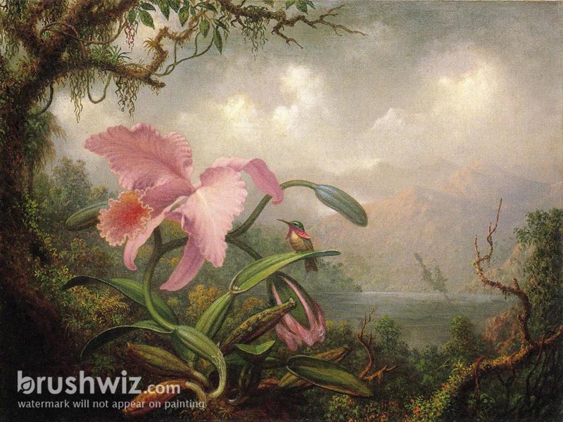 martin johnson heade orchids and hummingbirds